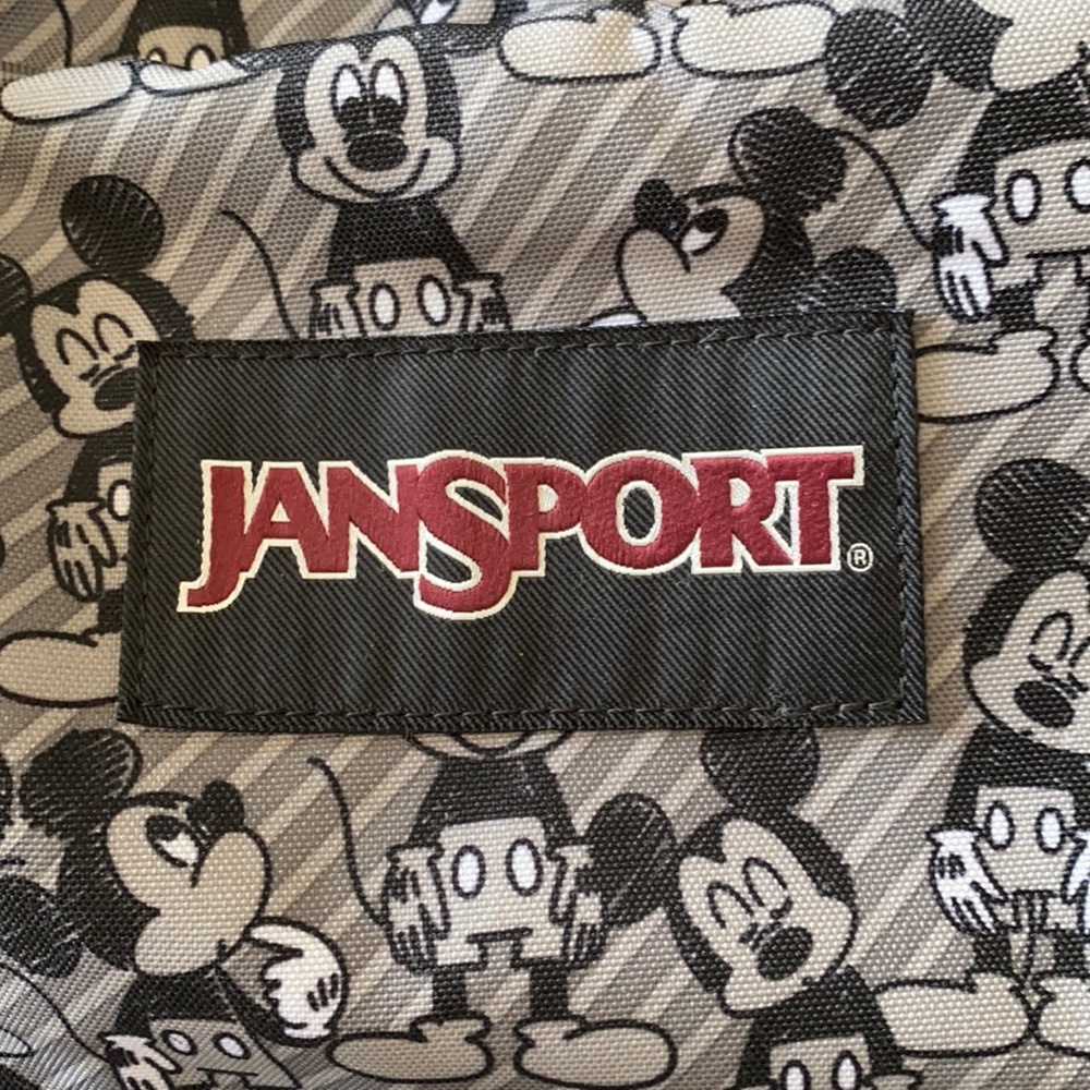 Jansport/Disney backpack